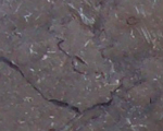 Granitasia - Royal Grey Marmi-Egiziani